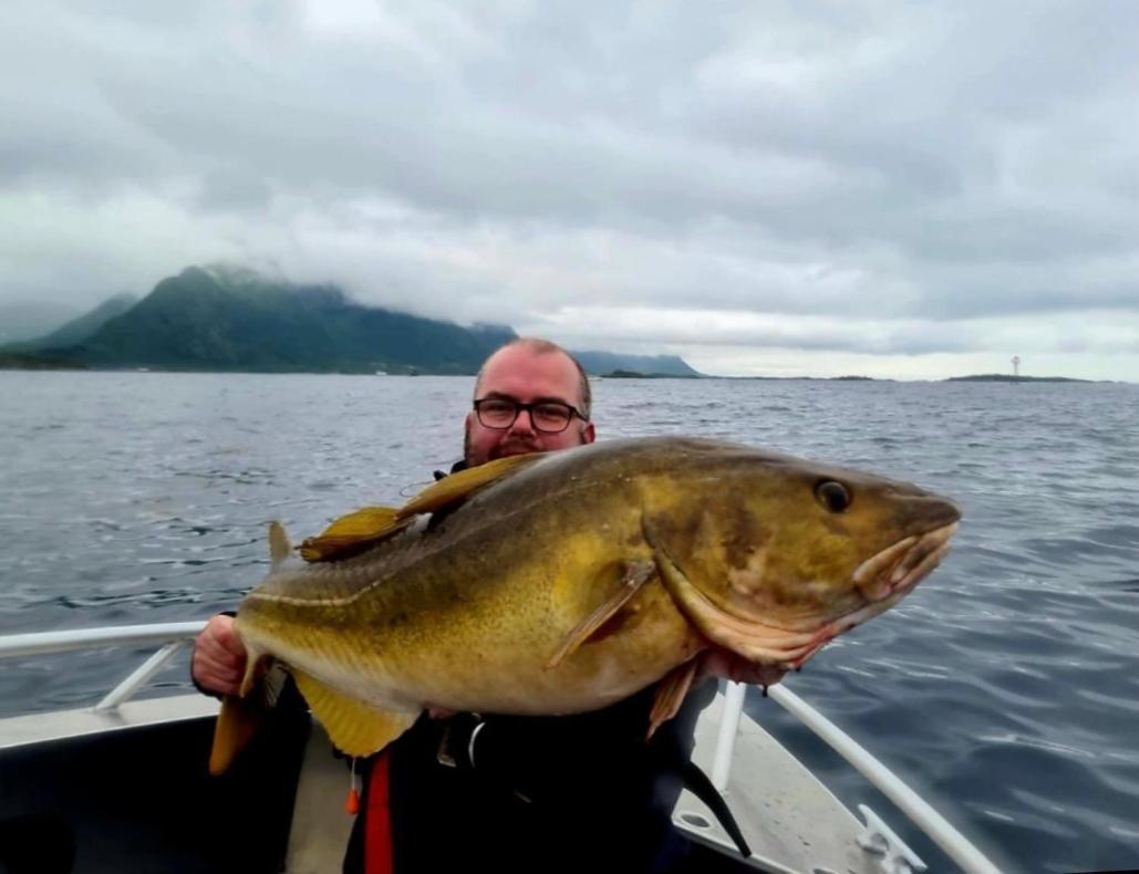 Lofoten And Vesteralen Kveldro Myrland Kültér fotó