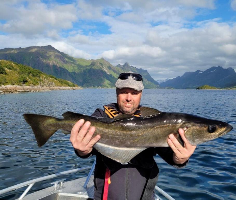 Lofoten And Vesteralen Kveldro Myrland Kültér fotó