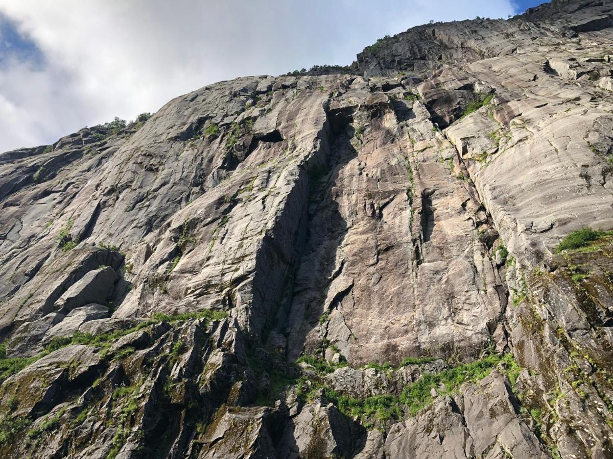 Lofoten And Vesteralen Kveldro Myrland Kültér fotó