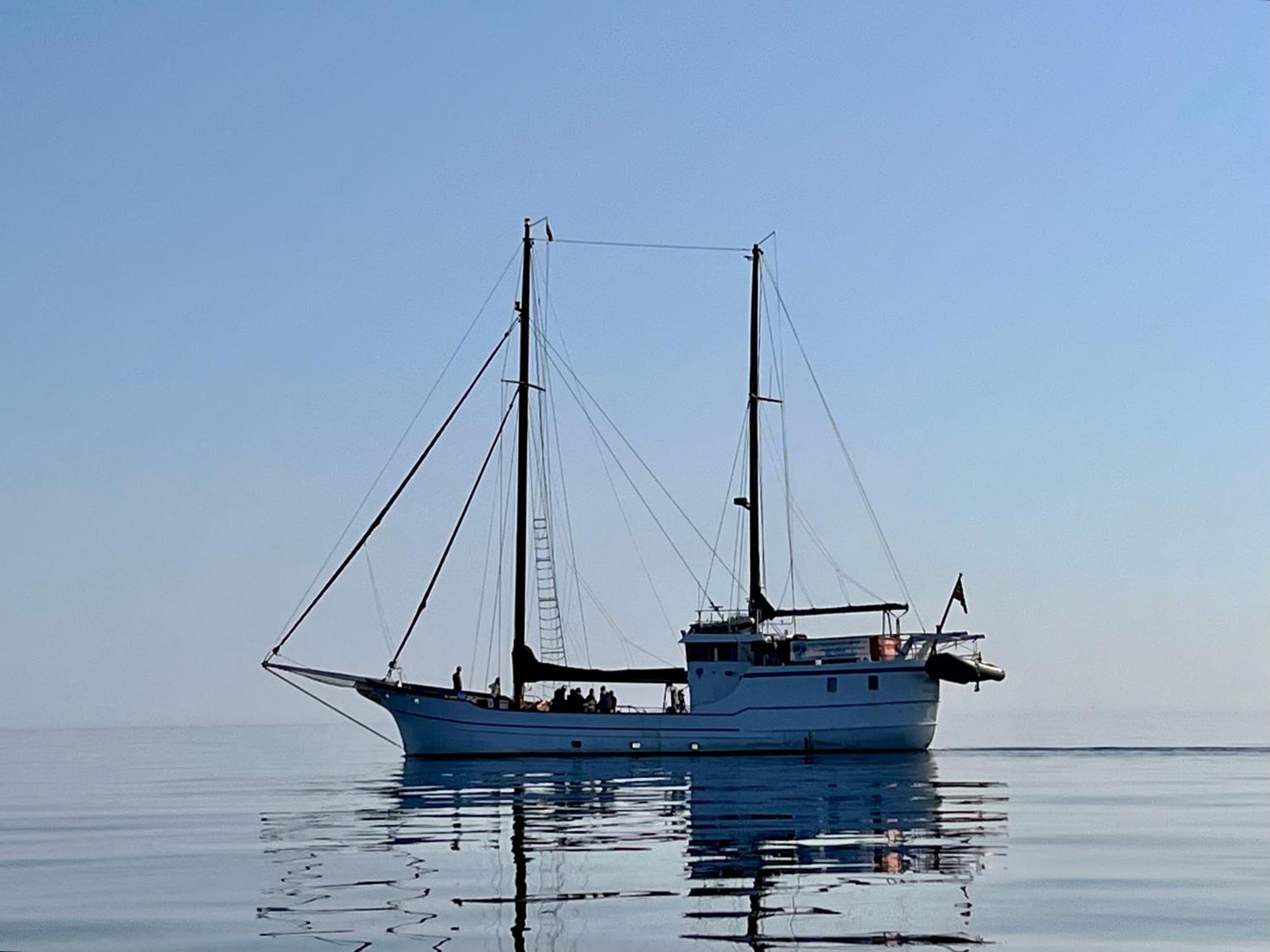 Lofoten And Vesteralen Kveldro Myrland Kültér fotó